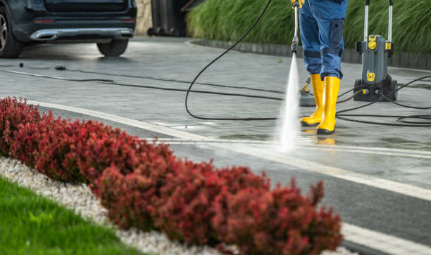 Best Fence Cleaning  in Woodstock, VA